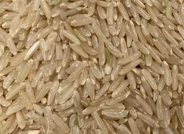 Thai Brown Jasmine Rice — uncooked grains shown close up