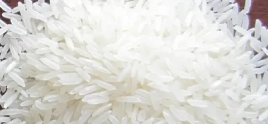 Thai Glutinous Rice 25% Broken — uncooked grains shown close up