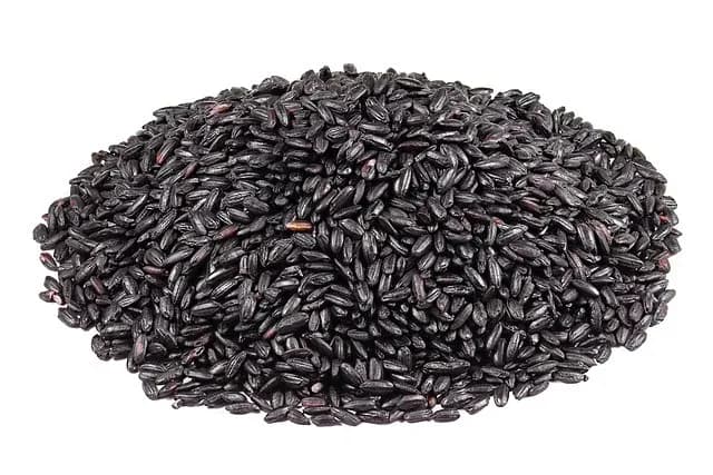 Thai Jasmine Black Cargo Rice — uncooked grains shown close up