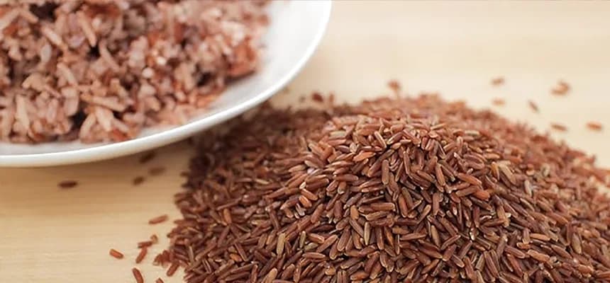 Thai Jasmine Red Cargo Rice — uncooked grains shown close up