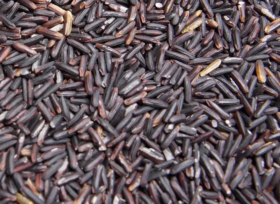 Thai Riceberry Rice — uncooked grains shown close up