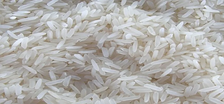 Thai White Rice 10% Broken — uncooked grains shown close up