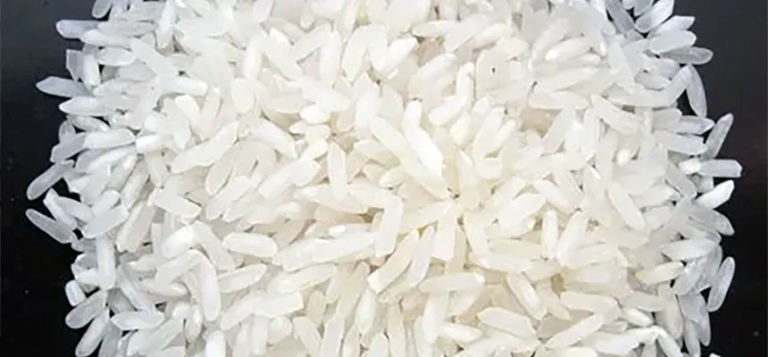 Thai White Rice 25% Broken — uncooked grains shown close up